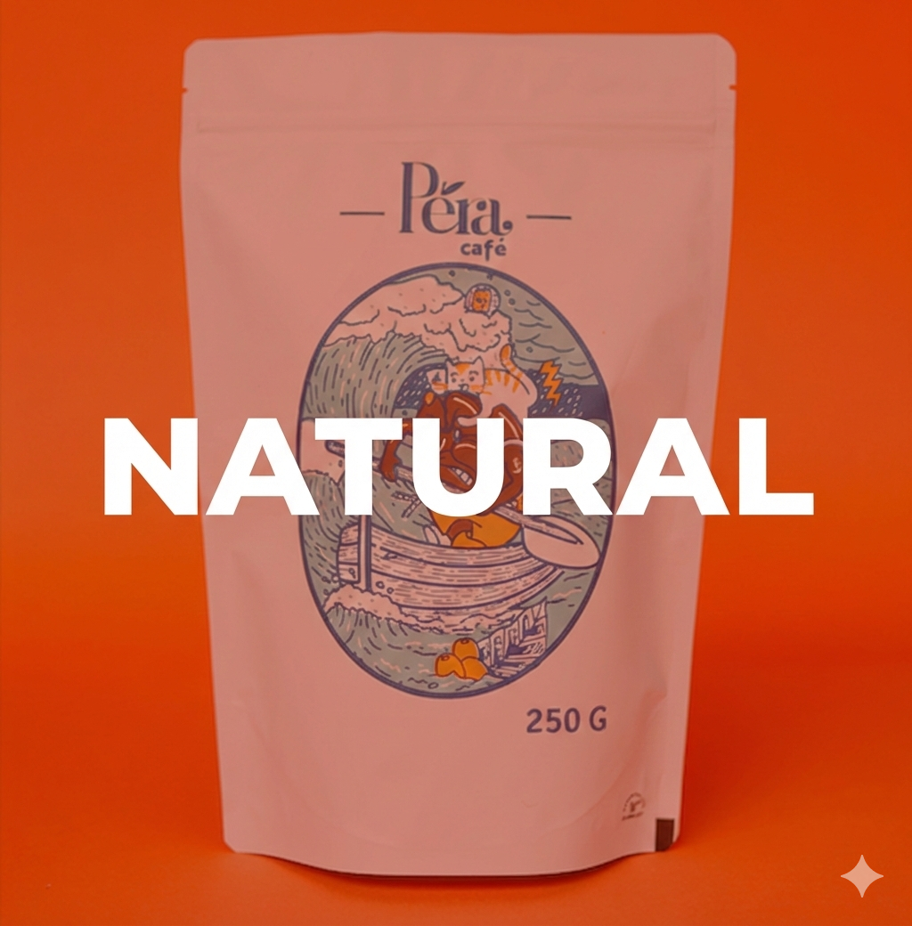 Natural 72h de Fermentación - Coatepec, Veracruz