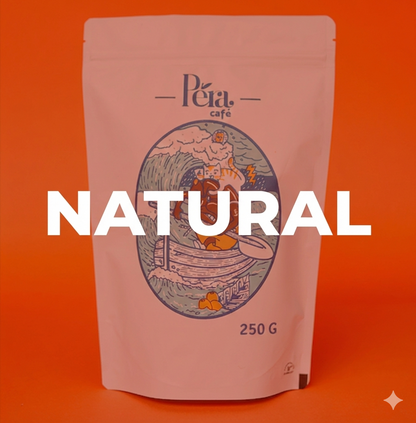 Natural 72h de Fermentación - Coatepec, Veracruz